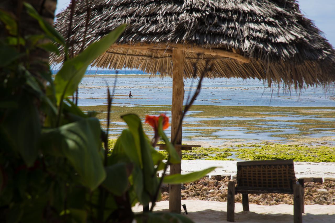 Milele Beach Resort Pingwe Exterior foto